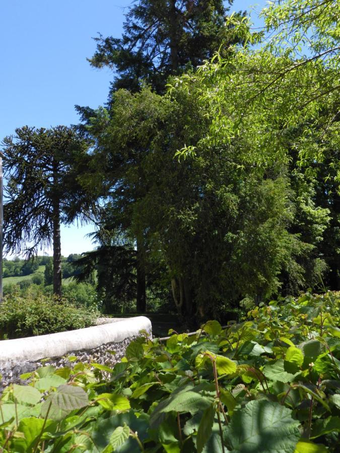 La Petite Bardouillere Courdemanche (Sarthe) Exterior foto